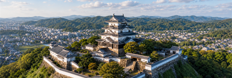 日本の城を空から見た風景
